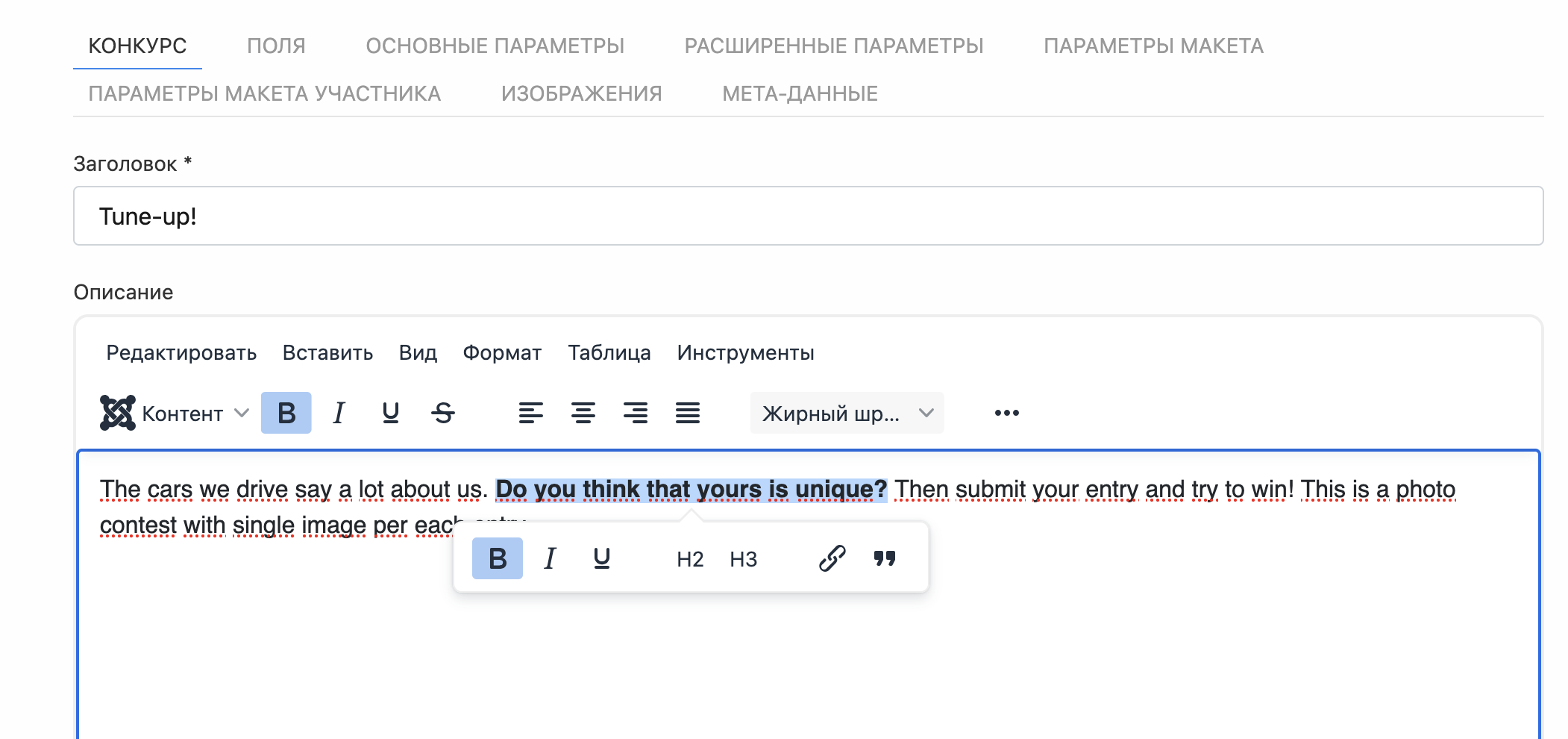 Поле Редактор на сайте
