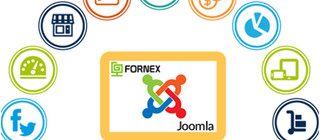 Обзор хостинг-провайдера Fornex